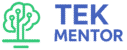 Tek Mentor